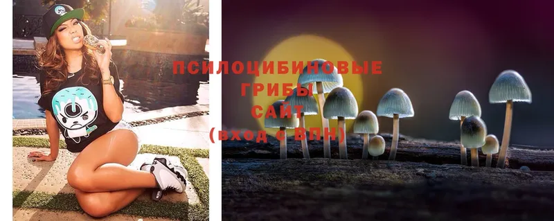 где продают   Нефтекамск  Галлюциногенные грибы MAGIC MUSHROOMS 